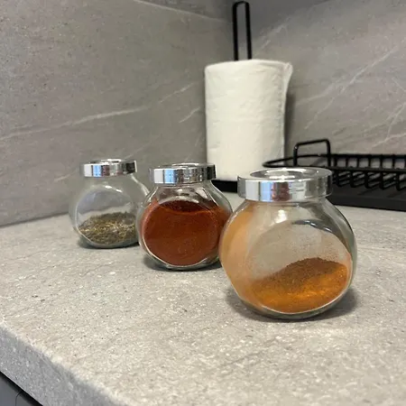 Daire Skau Piano Family & Business Free Parking Bratislava